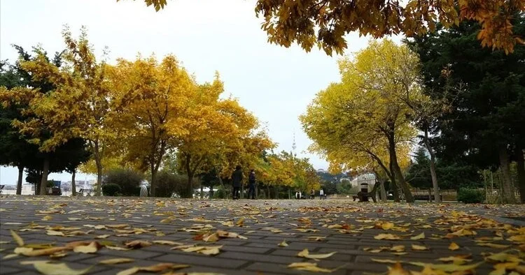 В четверг в Баку 12 градусов тепла, юго западный ветер