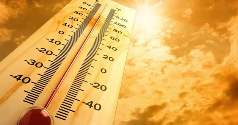 Названы территории Азербайджана с рекордными температурами в прошлом году