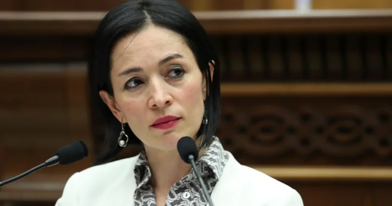 Армянский министр сочла заслуженным наказание спортсмена за инцидент с Азербайджаном Minval Politika