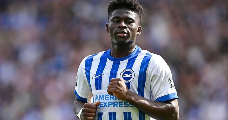 Liverpul və Tottenhem Brayton un gənc istedadı üçün yarışır