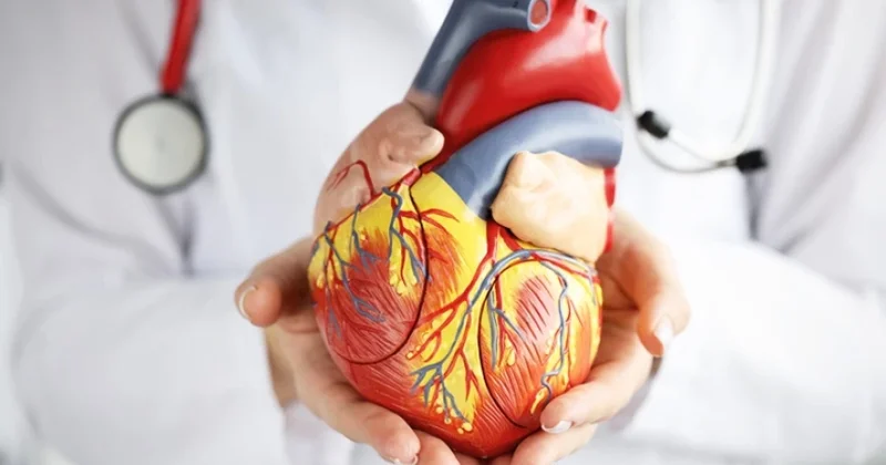 Şəhərdə yaşayanların DİQQƏTİNƏ: Bu səbəbdən ürək xəstəlikləri və piylənmə riskiniz var