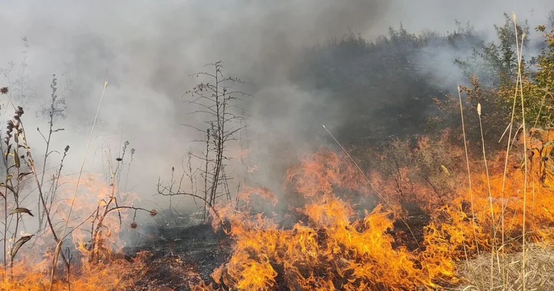 Пожары охватили Физулинский и Джебраильский районы