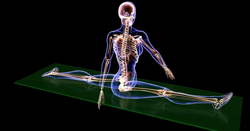 İnsan bədənində hansı artıq sümüklər var? Cavab sizi təəccübləndirəcək