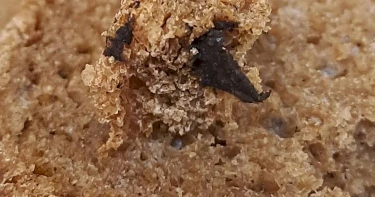 “Çörəkçi”nin çörəyinin içindən zibil çıxdı FOTO KONKRET