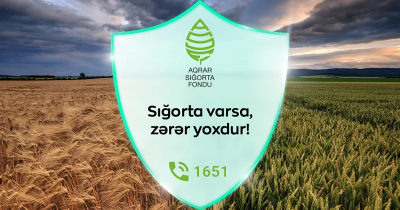 Fermerlərə 9 milyon manatdan çox sığorta ödənişi edilib