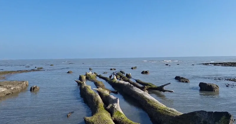 Xəzərin sahilində görünənlər heyrətləndirdi: Buna eşq kimi baxmaq olmaz VİDEO