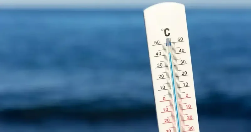 2025 год стал самым жарким в истории Норвегии