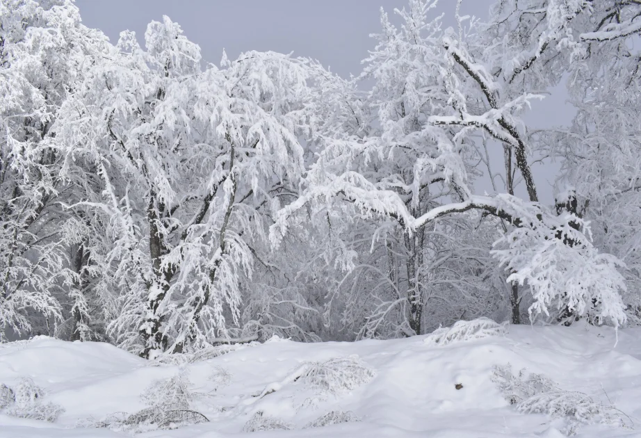 Qubanın Qırız kəndində 20 santimer qar, mənfi 8 dərəcə temperatur qeydə alınıb