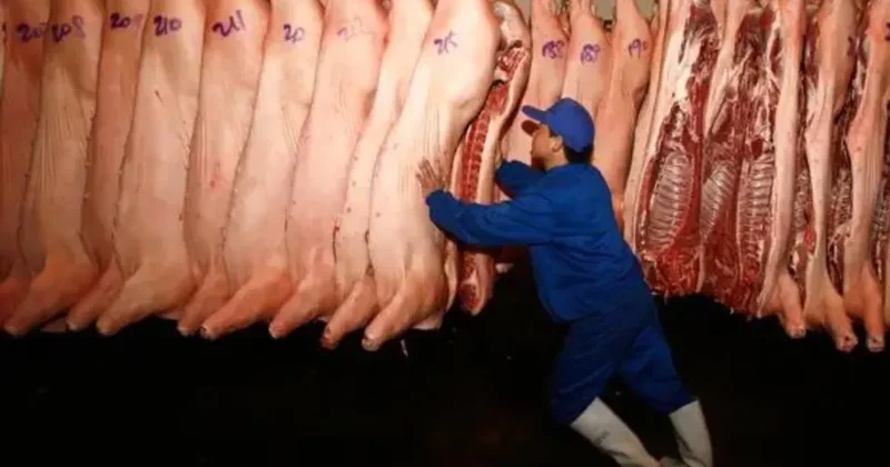 В Казахстане грузчик вынес мясо на миллионы и получил срок