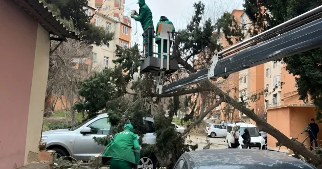 Во сколько гражданам Азербайджана обошлись четыре дня непогоды?