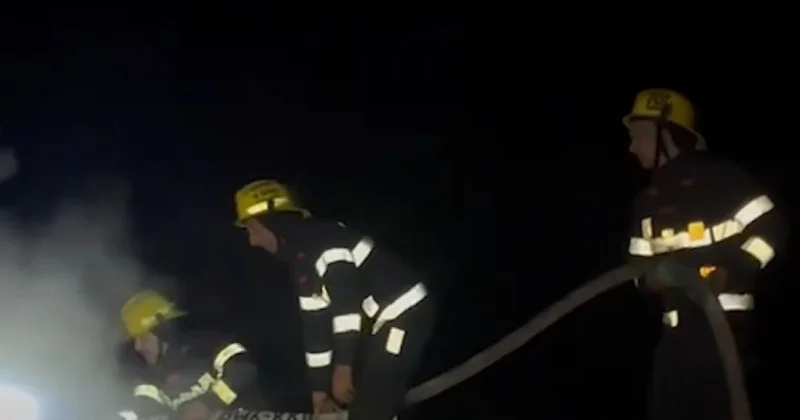 В Исмаиллы загорелась зона отдыха ВИДЕО