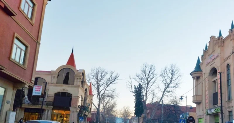 Полиция задержала убийцу из Шамкира