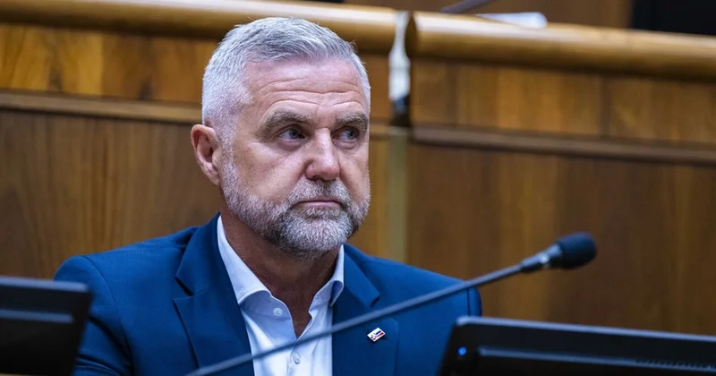 Вице спикер: Словакия справилась с угрозами дестабилизации