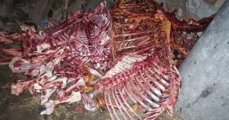 4 nəfərlik dəstə ifşa olundu KONKRET