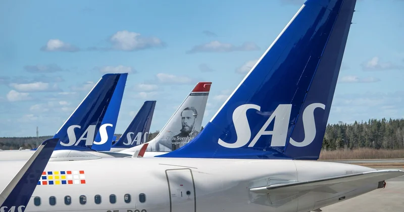 Самолет SAS развернулся над Европой из за мыши на борту