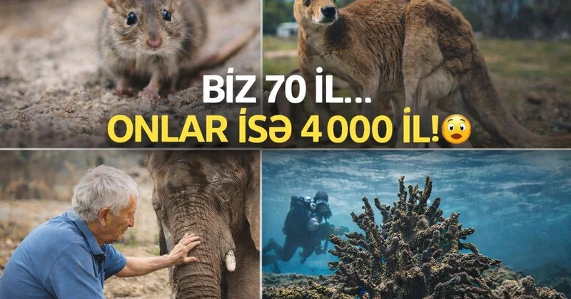 Biz 80 il, onlar isə 4000 il yaşayırlar heyrətamiz məlumatlar