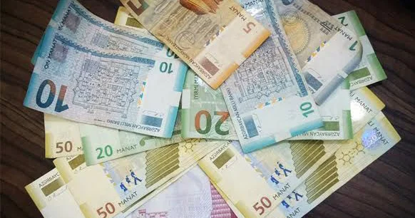 Manatın ritmi pozulur: Onun dövriyyəsi niyə yavaşlayır?