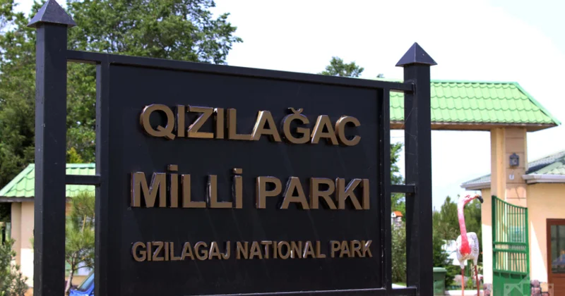 Qızılağac Milli Parkı Azərbaycanın ən böyük su bataqlıq ərazisidir