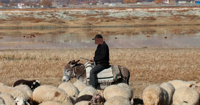 Azadlığa çıxan çoban 1 gün sonra yenidən həbs edildi