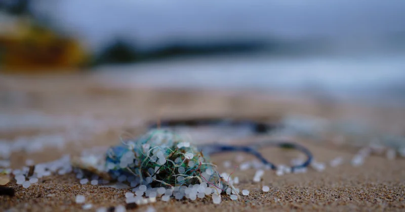Mikroplastik ilk dəfə bitki ekstraktlarının köməyi ilə sudan təmizlənib