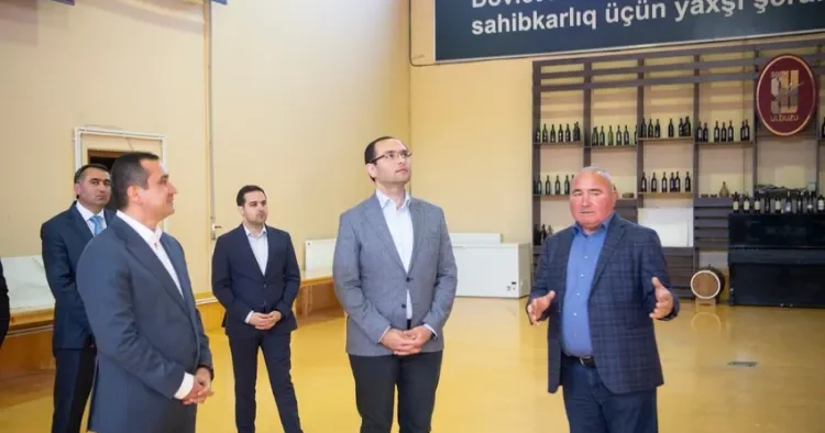 Məcnun Məmmədov 3 rayonda təsərrüfatlara baş çəkib FOTO