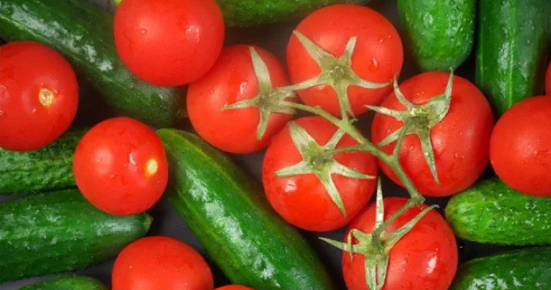 Pomidor və xiyarlar nə üçün dadsızdır?