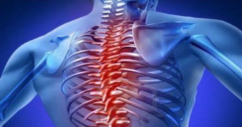 Alimlər ağrı sindromunun diaqnostikası üçün süni intellektə əsaslanan innovativ texnologiya hazırlayıblar TƏDQİQAT