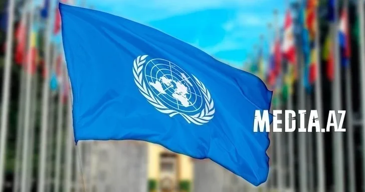 Представители ООН посетили пакистанский Музаффарабад после ударов ВС Индии