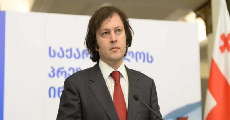 Kobaxidze “MEGOBARI Aktı”nın qəbul edilməsinə münasibət bildirib