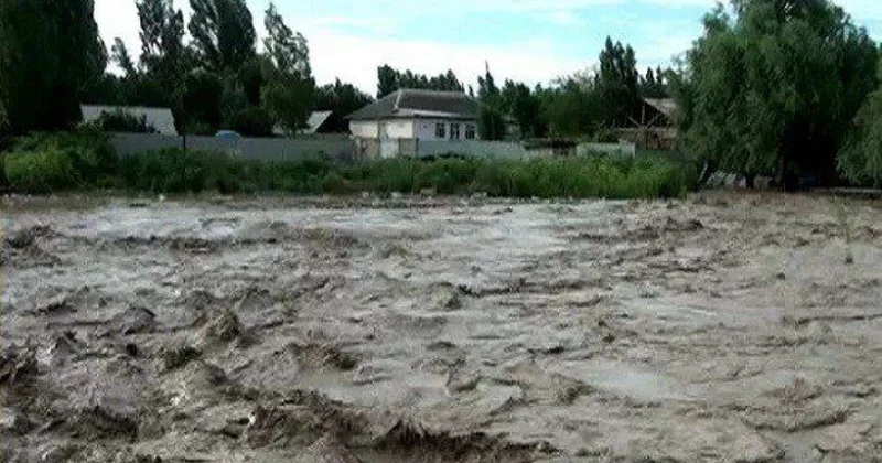 "Toyuq cücə, mal qaramız tələf oldu" Hacıqabulda sel fəlakəti VİDEO