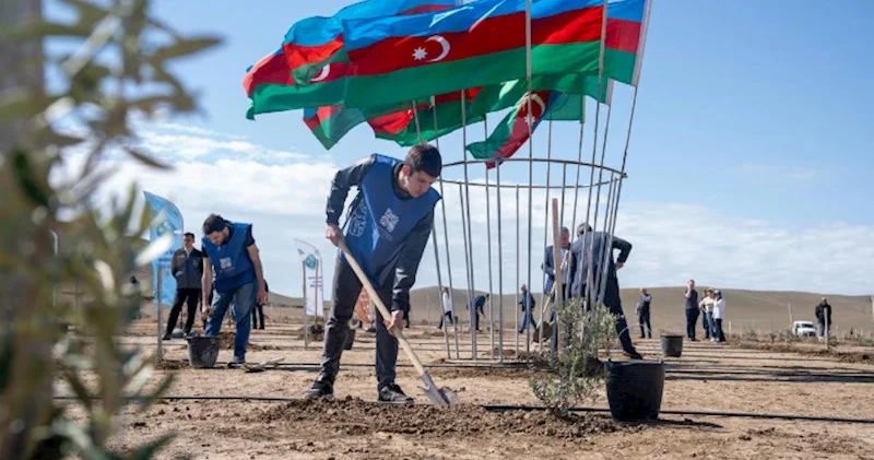 Müşfiqabad qəsəbəsində növbəti ağacəkmə aksiyası FOTOLAR