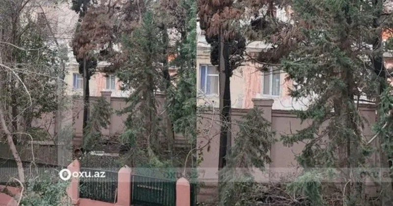 Abadlaşdırılma üçün icarəyə verilən ərazidən sakinlər istifadə edə bilmirlər Səbaildən ŞİKAYƏT