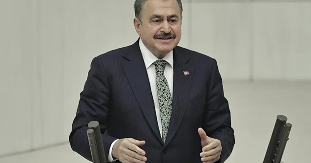 Ərdoğan sabiq nazirə vəzifə verdi