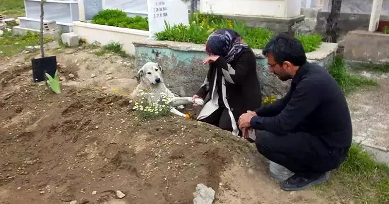 Hamı getdi, təkcə o qaldı! Gecə gündüz qəbiristanlıqda yatır