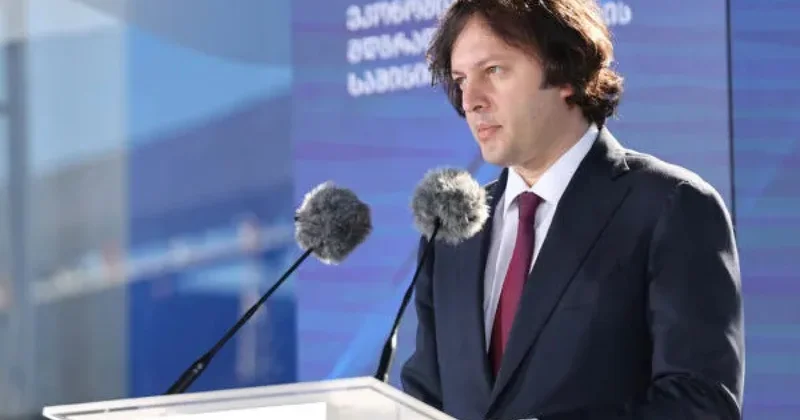 Кобахидзе стал новым председателем Грузинской мечты