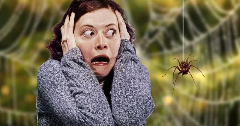 Həşərat qorxusu: Necə xilas olaq?