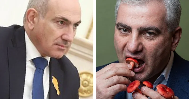 Пашинян пообещал накормить Карапетяна галлюциногенами