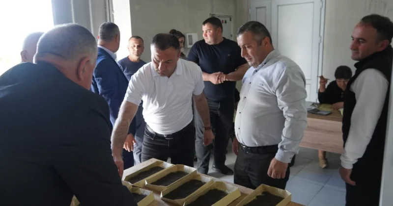 Zaqatalada Ulu Öndərin anadan olmasının 103 cü ildönümü münasibətilə 5 mindən çox gül əkiləcək