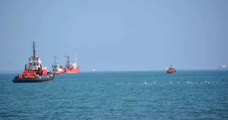 Загрязнение Черного моря: Грузия штрафует корабли