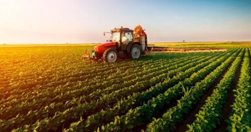 Əlverişsiz hava şəraiti aqrar sektora 13 milyon manat ziyan vurub
