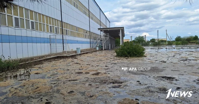 В Шамкире произошла авария на водопроводе, территорию затопило ФОТО