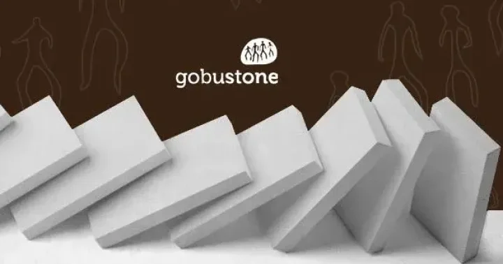 Gobustone məhsullarının istehsalçısının kapitalı kəskin azaldılıb