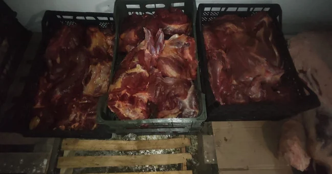“Alp Delux” şadlıq evində istehlaka təqdim edilən ətlərdə at DNT si aşkarlanıb