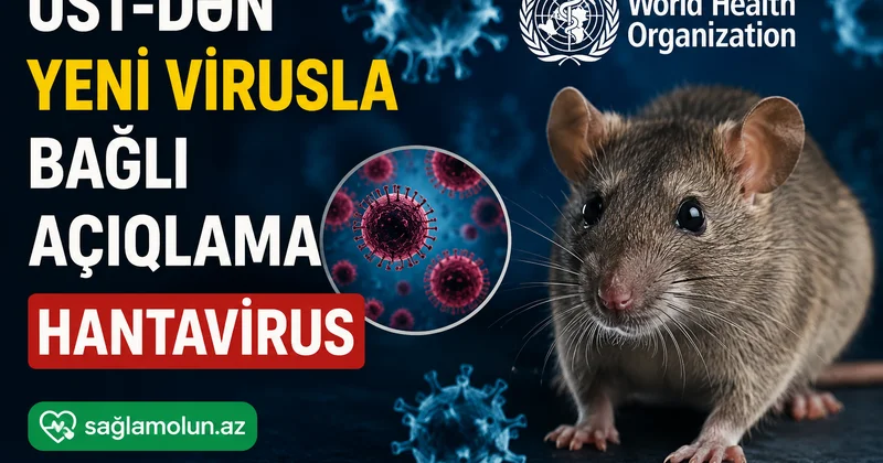3 ölü, onlarla insan təhlükədə Hantavirus