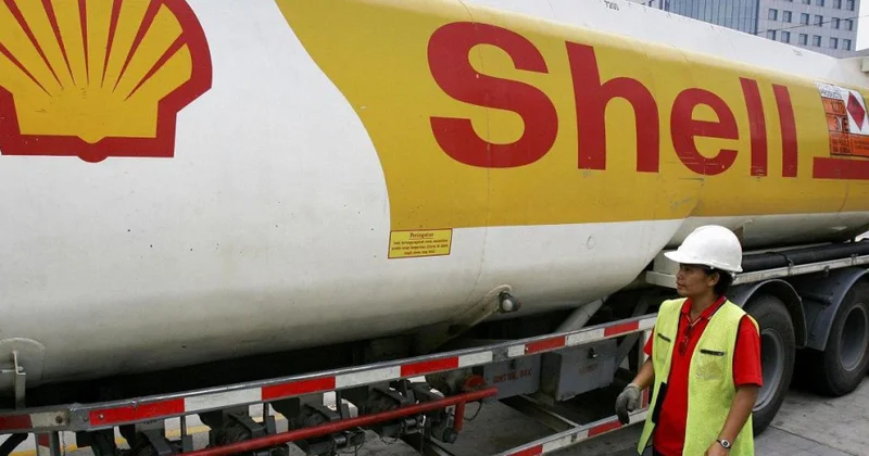 “Shell”in xalis mənfəəti artıb
