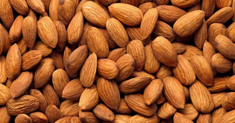 Gündəlik maqnezium ehtiyacını belə qarşılayın Ən faydalı çərəz