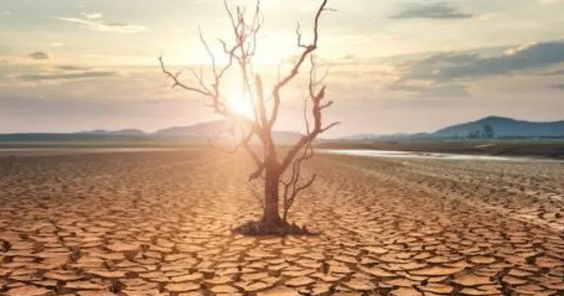 Atmosfer susuzluğu quraqlığın artmasının əsas səbəbidir ARAŞDIRMA