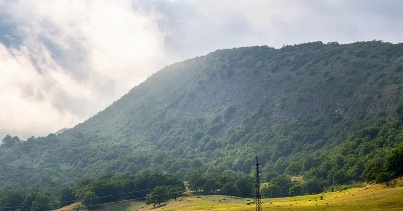Altıağac Milli Parkına haykinq turu təşkil olunacaq