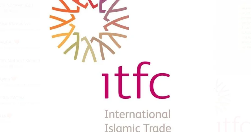 ITFC сохраняет стратегический акцент на финансировании энергетики ДАННЫЕ с 2016 г.