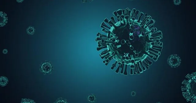 Alimlər okeanda fotosintezə təsir edən 230 nəhəng virus aşkar ediblər
